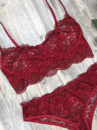 Elegant eyelash lace lingerie set