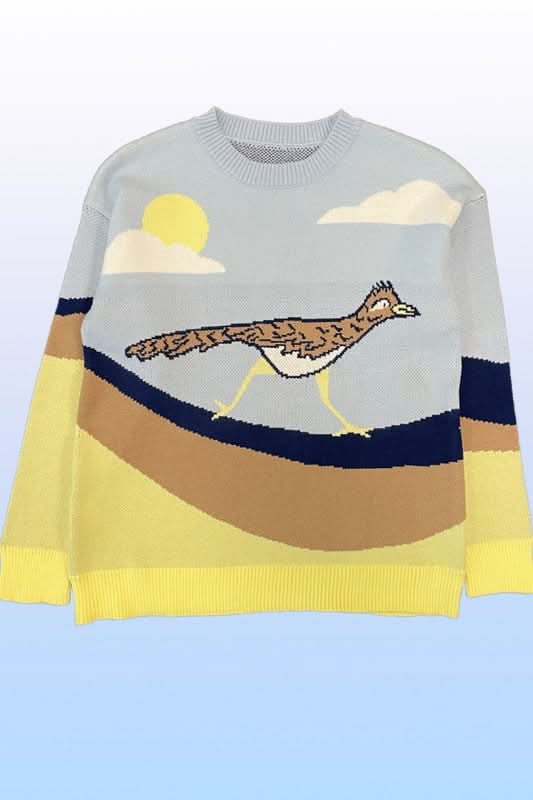 Vibrant roadrunner knit sweater - Love Salve 