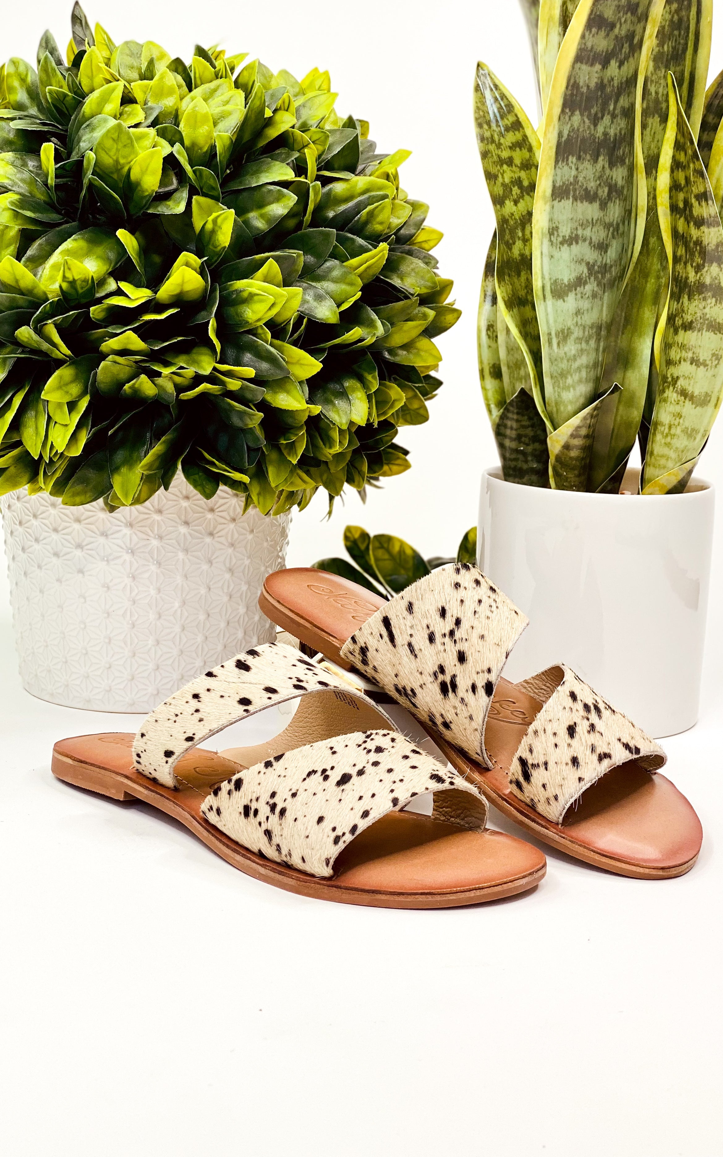 Spirited Sandals In Black And White Leather Slip On Naughty Monkey