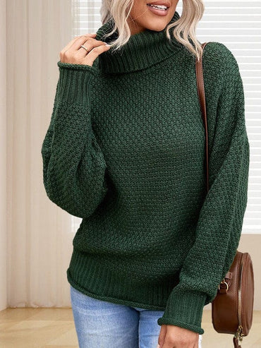 Everyday Turtleneck Sweater