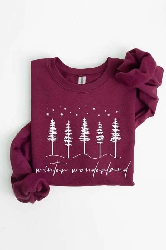 Winter Wonderland Graphic Fleece Sweatshirts - Love Salve 