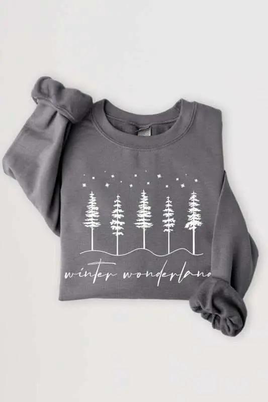 Winter Wonderland Graphic Fleece Sweatshirts - Love Salve 