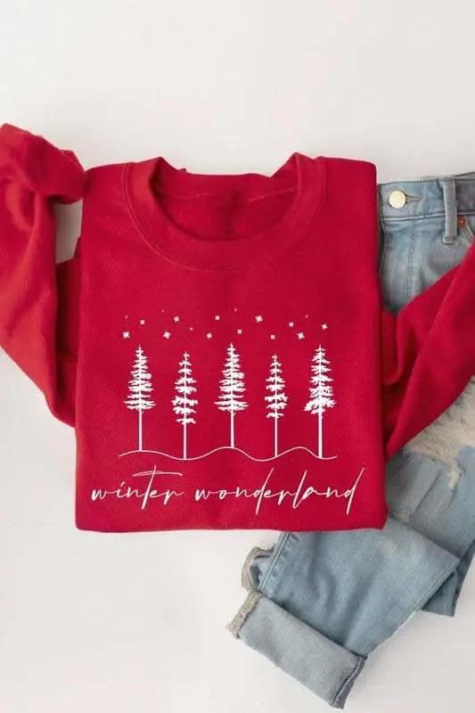 Winter Wonderland Graphic Fleece Sweatshirts - Love Salve 