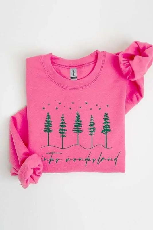Winter Wonderland Graphic Fleece Sweatshirts - Love Salve 
