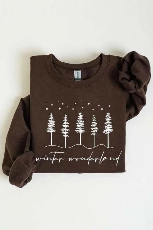 Winter Wonderland Graphic Fleece Sweatshirts - Love Salve 