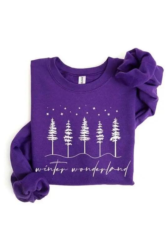 Winter Wonderland Graphic Fleece Sweatshirts - Love Salve 