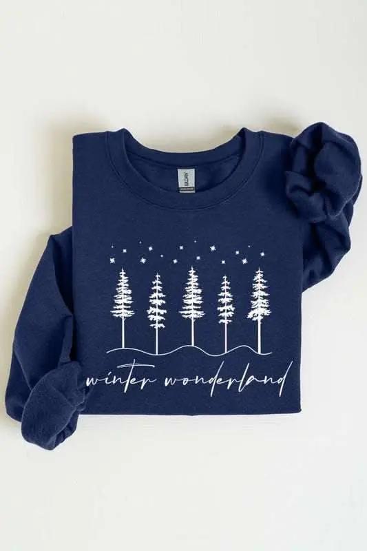 Winter Wonderland Graphic Fleece Sweatshirts - Love Salve 