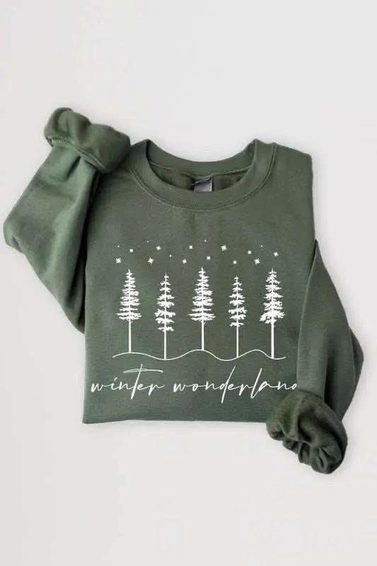 Winter Wonderland Graphic Fleece Sweatshirts - Love Salve 