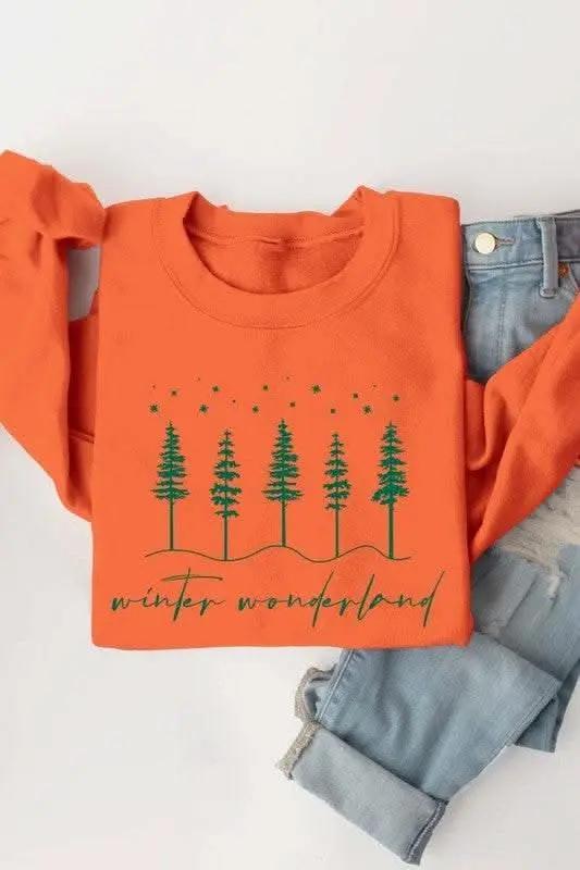 Winter Wonderland Graphic Fleece Sweatshirts - Love Salve 