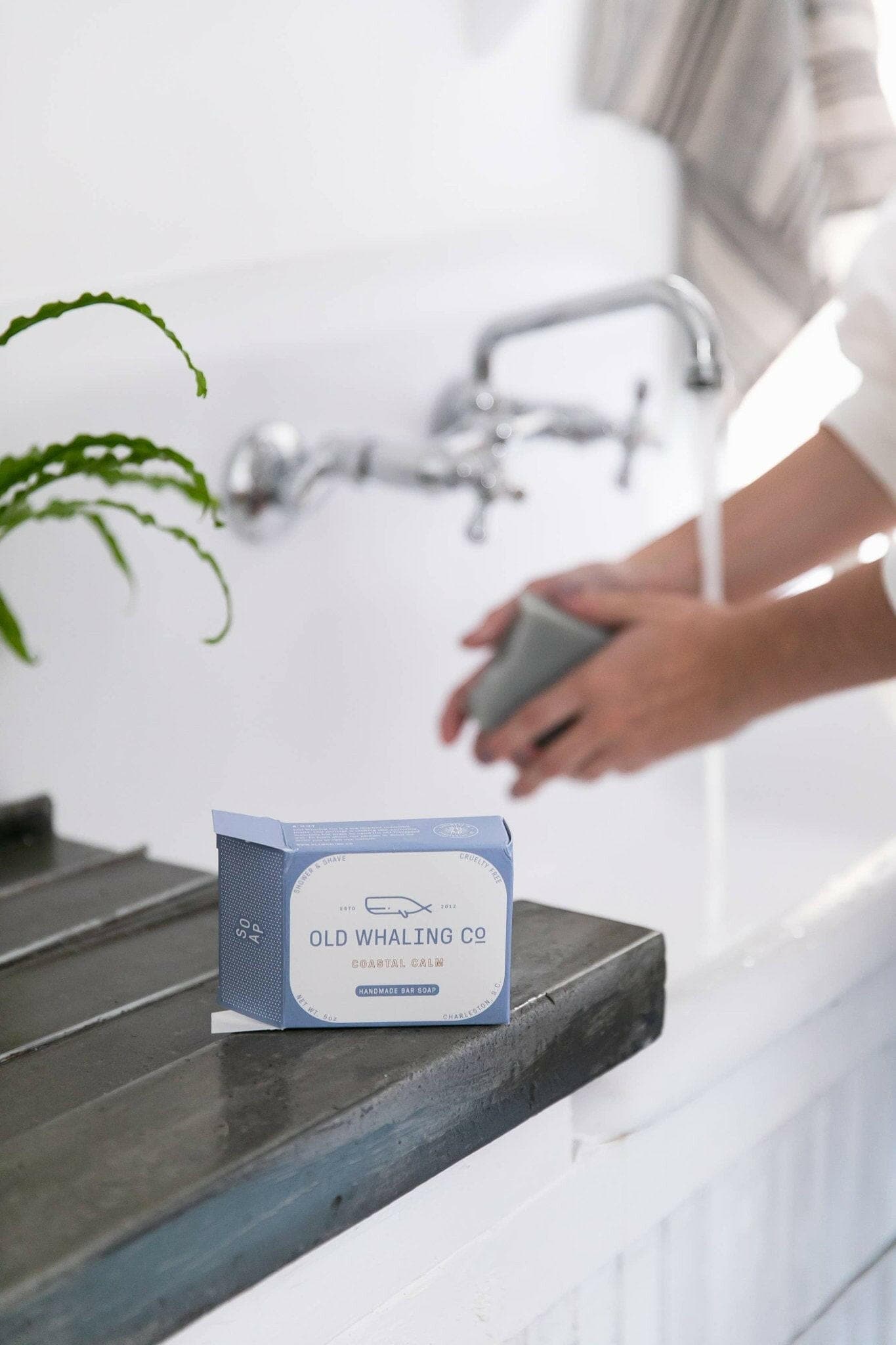 Calm Coastal Bar Soap - Love Salve